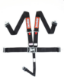 Picture of Seat Belt - 5pt - Black - L&L RaceQuip