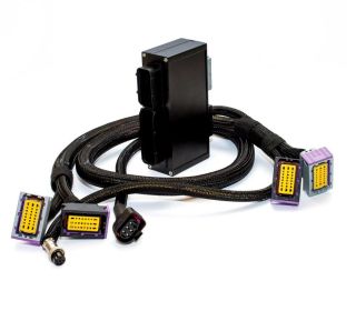 Picture of PnP connector for BMW Non Vanos. D.M.E.3.1.