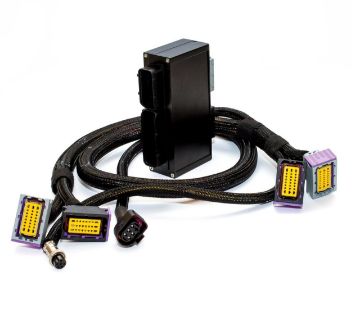 Picture of PnP connector for BMW Non Vanos. D.M.E.3.1.