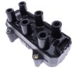 Picture of Bosch Motorsport - Ignition coil for 6 cyl.