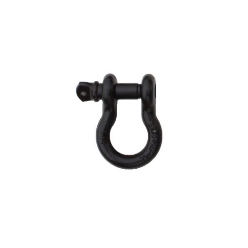 Picture of Rampage 1955 - 2019 Universal Recovery D Ring 34in Black - Black