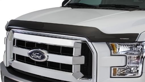 Picture of Stampede 2015 - 2019 Ford F - 150 Vigilante Premium Hood Protector - Smoke
