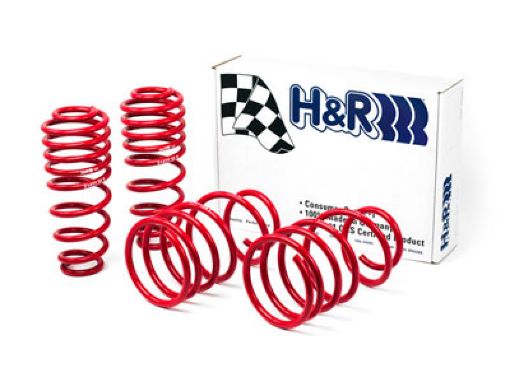 Picture of HR 05 - 09 Ford MustangConvertibleGTShelby GTShelby GT - H V6V8 Race Spring