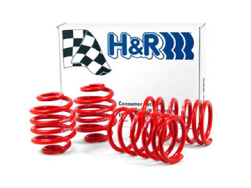 Picture of HR 85 - 91 BMW 325e325i325is E30 Race Spring (Non CabrioTuner Fitment)