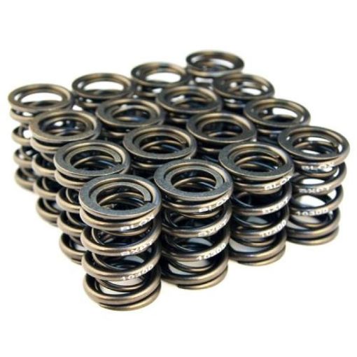 Picture of BLOX Racing Valve Springs for B18A - B B20 (1.8L - 2.0L DOHC)