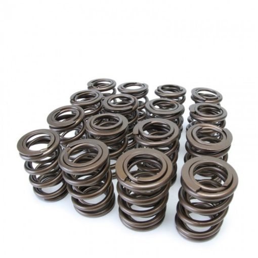 Picture of Skunk2 Tuner Series HondaAcura (B16A B17A B18C) DOHC VTEC Alpha Valve Spring Set (Dual Springs)