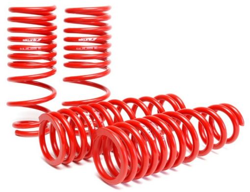 Picture of Skunk2 92 - 95 Honda CivicDel Sol Lowering Springs (2.50in - 2.25in.) (Set of 4)