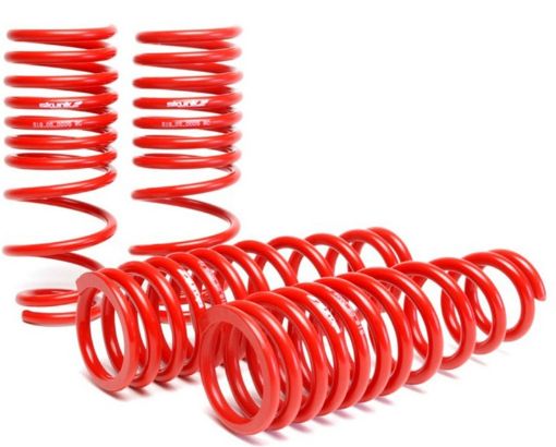 Picture of Skunk2 94 - 01 Acura Integra Lowering Springs (2.50in - 2.25in.) (Set of 4)