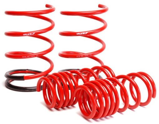 Picture of Skunk2 01 - 05 Honda Civic Lowering Springs (2.25in - 2.00in.) (Set of 4)