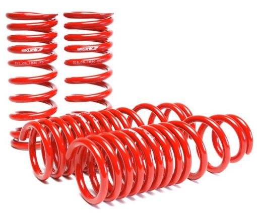Picture of Skunk2 90 - 93 Acura Integra Lowering Springs (2.50in - 2.25in.) (Set of 4)