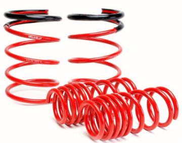 Picture of Skunk2 05 - 06 Acura RSX Lowering Springs (2.25in - 2.00in.) (Set of 4)