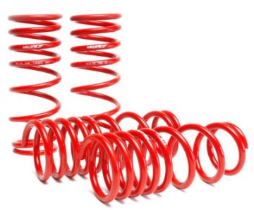 Picture of Skunk2 00 - 04 Honda S2000 Lowering Springs (2.00in. - 1.80in.) (Set of 4)