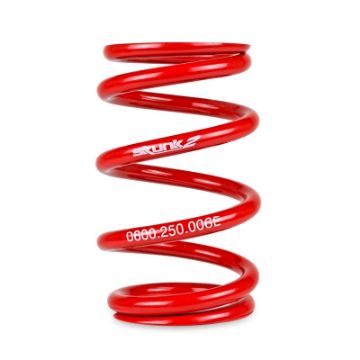 Picture of Skunk2 Universal Race Spring (Elliptical) - 6 in.L - 2.5 in.ID - 6kgmm (0600.250.006E)