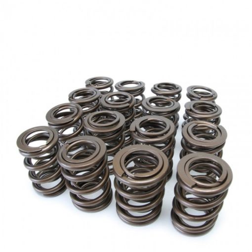 Picture of Skunk2 Tuner Series HondaAcura (K20K24F20CF22C) DOHC VTEC Alpha Valve Spring Set (Dual Springs)