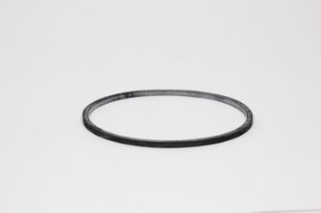Picture of Walbro Replacement Gasket