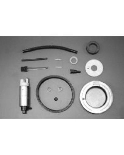 Picture of Walbro Fuel PumpFilter Assembly