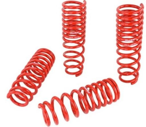Picture of Skunk2 92 - 95 Honda CivicDel Sol Lowering Springs (2.50in - 2.25in.) (Set of 4)