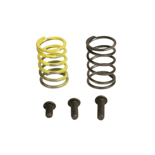 Picture of Industrial Injection 94 - 98 Dodge 12V AFC Spring Kit