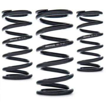 Picture of AST Linear Race Springs - 120mm Length x 110 Nmm Rate x 61mm ID - Single
