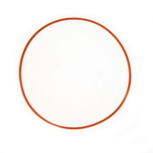 Picture of Nitrous Express Replacement O - Ring Gasket for Coyote Plate