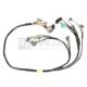 Picture of Rywire D B - Series Mil - Spec Engine Harness wQuick DisconnectOBD1 Plugs (Adapter Req)