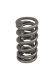 Picture of COMP Cams 0.700in Max Lift Dual Valve Spring for GM LS7LT1LT4