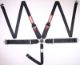 Picture of RaceQuip Black SFI CAMLOCK 5pt PD Lap HNR Seat Belt