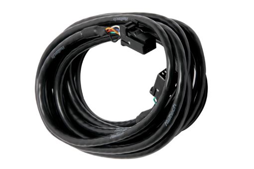 Picture of Haltech CAN Cable 8 Pin Black Tyco to 8 Pin Black Tyco 1800mm (72in)