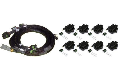 Picture of Haltech BigSmall Block Ford V8 8 Channel Individual High Output IGN - 1A Inductive Coil Harness Kit
