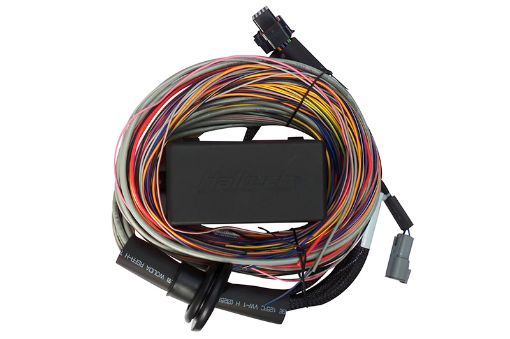 Picture of Haltech Elite 750 8ft Premium Universal Wire - In Harness