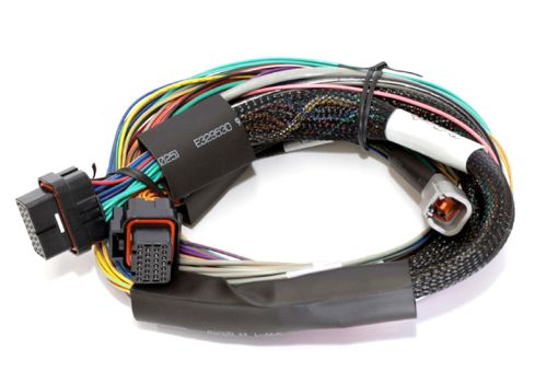 Picture of Haltech Elite 1500 8ft Basic Universal Wire - In Harness (Excl Relays or Fuses)