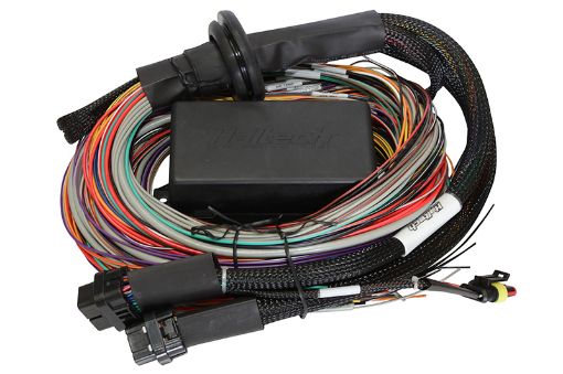 Picture of Haltech Elite 1500 8ft Premium Universal Wire - In Harness