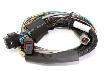 Picture of Haltech Elite 2500 8ft Basic Universal Wire - In Harness (Excl Relays or Fuses)