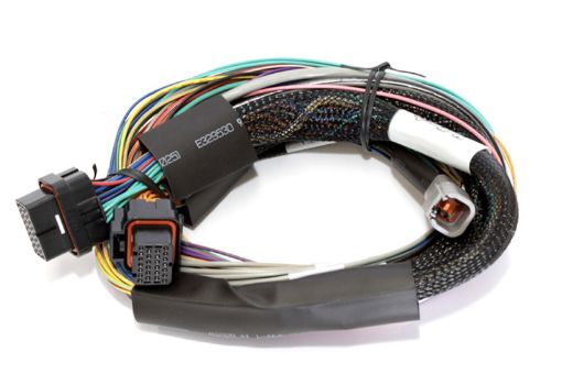 Picture of Haltech Elite 2500 8ft Basic Universal Wire - In Harness (Excl Relays or Fuses)