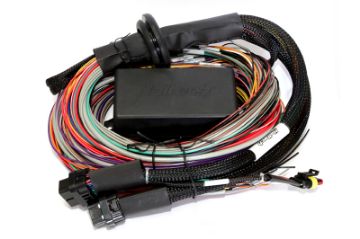 Picture of Haltech Elite 2500 2500 T 8ft Premium Universal Wire - In Harness