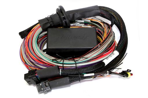 Picture of Haltech Elite 2500 2500 T 8ft Premium Universal Wire - In Harness