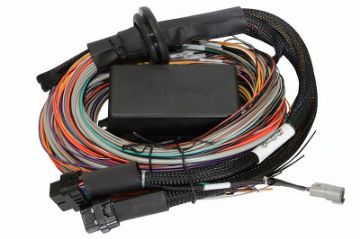 Picture of Haltech Elite 2500 2500 T 16ft Premium Universal Wire - In Harness