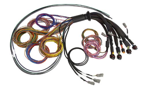 Picture of Haltech NEXUS R5 Universal Wire - In Harness - 2.5M (8ft)