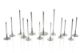 Picture of Ferrea Acura C32B 37mm 5.48mm 112.37mm 20 Deg S - Flo 1mm Competition Plus Intake Valve - Set of 12