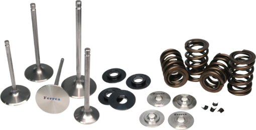 Picture of Ferrea AcuraHonda B18B16 High Pressure Dual Spring Kit