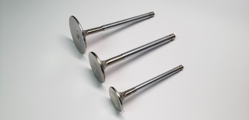 Picture of Ferrea BMW S55 32mm 4.97mm 104.90mm 12 Deg Taper - Flo STD Trpl Grv Comp Plus Int Valve - Set of 12