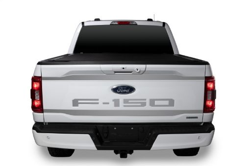 Picture of Putco 2021 Ford F - 150 Ford Lettering (Cut LettersStainless Steel) Tailgate Emblems