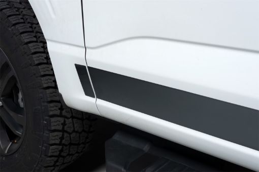 Picture of Putco 2021 Ford F - 150 Reg Cab 8ft Long Box Black Platinum Rocker Panels (4.25in Tall 10pcs)