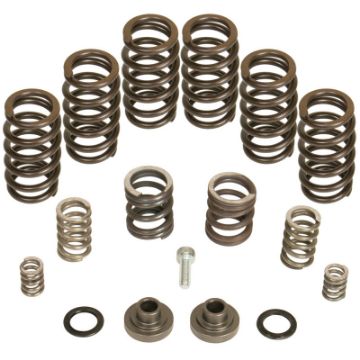 Picture of BD Diesel Governor Spring Kit 4000rpm - 1994 - 1998 Dodge 12 - valveP7100 Pump