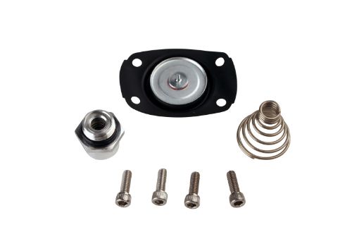 Picture of Aeromotive Carb Regulator Repair Kit (for 13201132051321113215132171325113255)