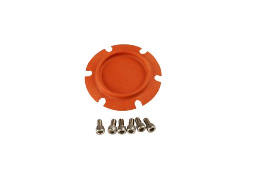 Picture of Aeromotive Regulator Repair Kit (for 1320813210)