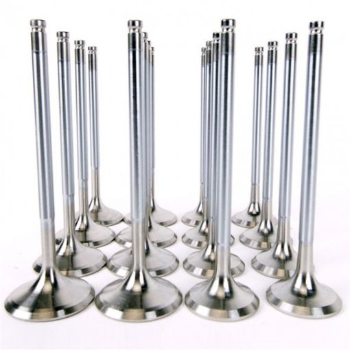 Picture of Skunk2 Alpha Series HondaAcura Stock Size H Series Valve Set (Standard Compression)