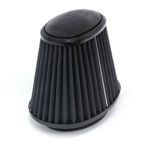 Picture of Banks Power Various Ford Dodge Diesels Ram Air System Air Filter Element - Dry