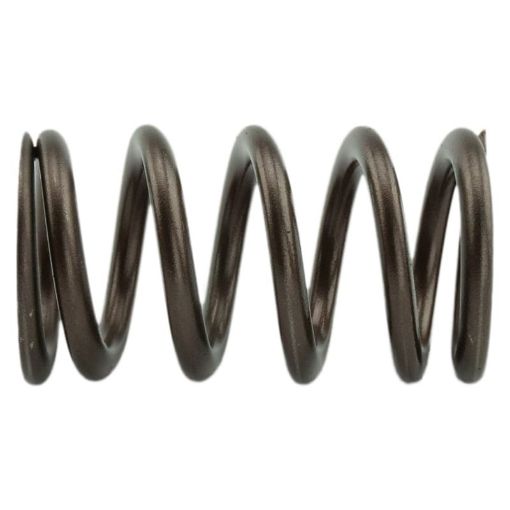 Picture of Industrial Injection 110 LBS Single Valve Spring Set