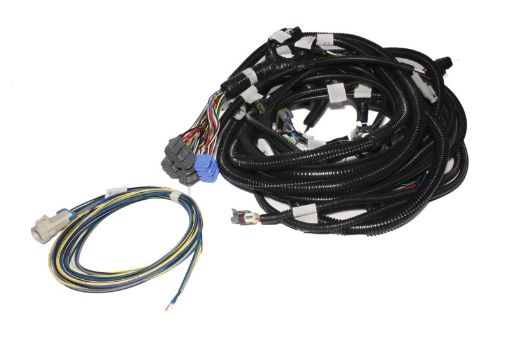 Picture of FAST Wiring Harness Main LS1LS2L